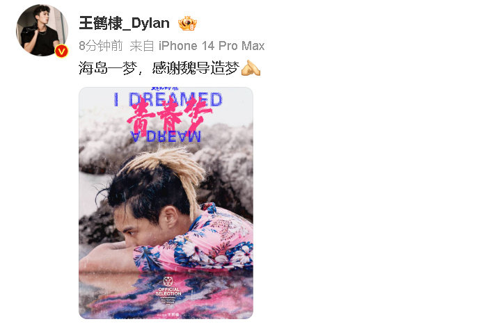 在海岛上做了一场美妙的梦，真心感谢魏导为我们营造了这样一个如梦如幻的世界。 