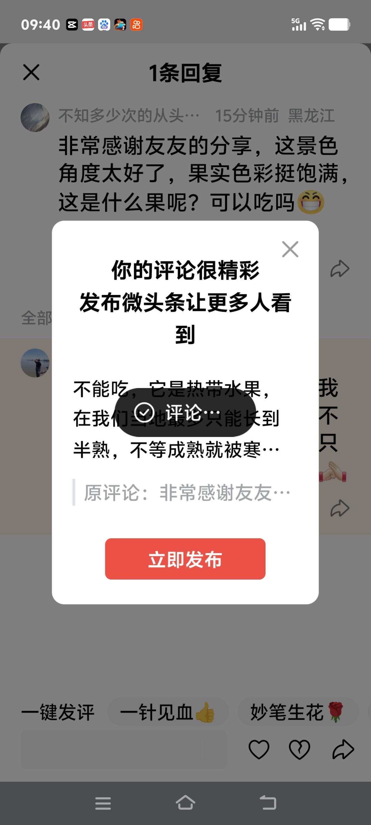 不能吃，它是热带水果，在我们当地最多只能长到半熟，不等成熟就被寒风吹落地面，只能