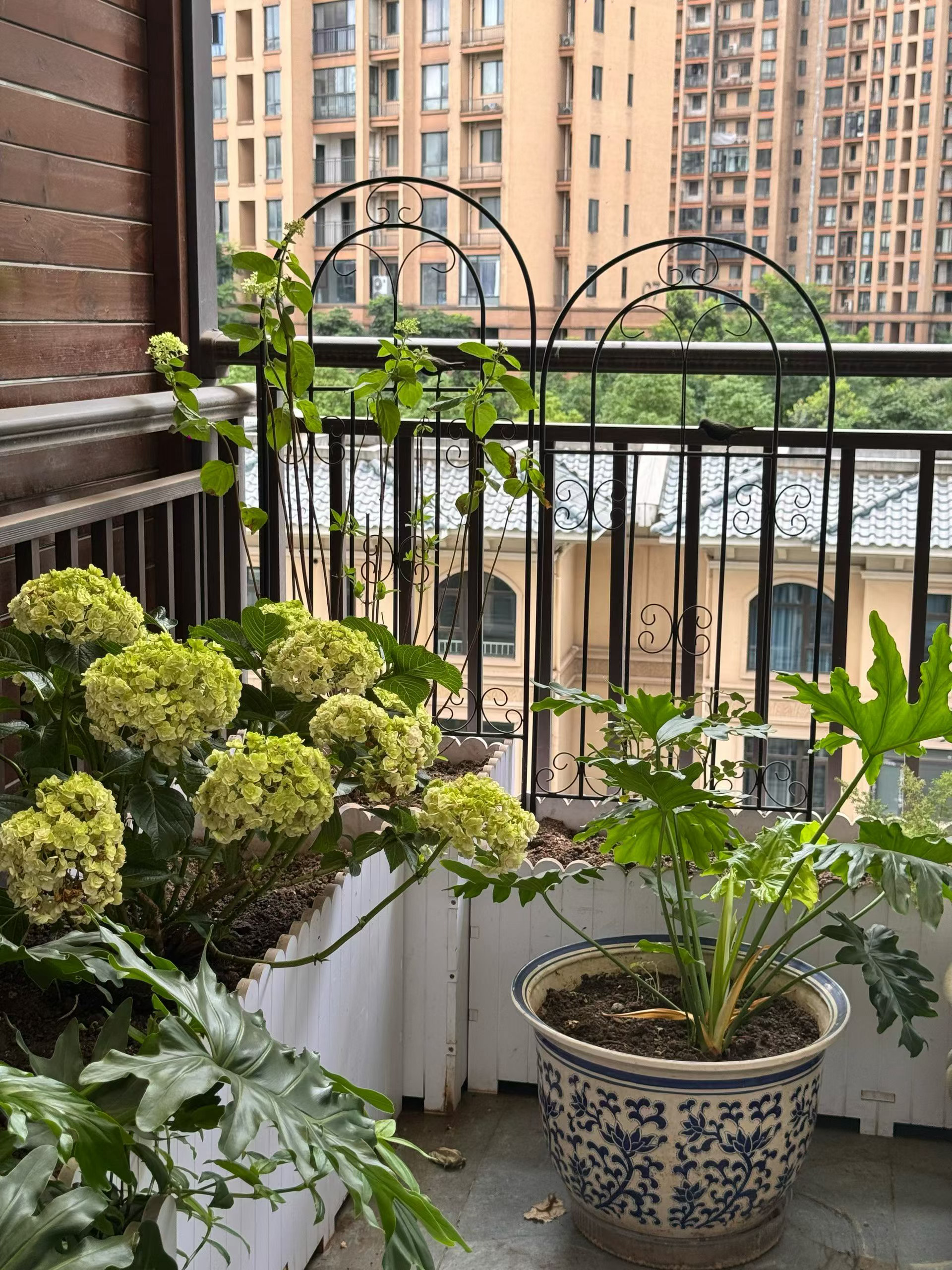 每天像盛花热烈，像晨早清白~早安 ✨ 