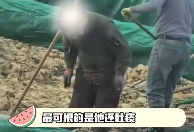 老坛酸菜已经塌无可塌了 读书那会最喜欢把老坛酸菜叫成老痰酸菜没想到老坛酸菜里真有