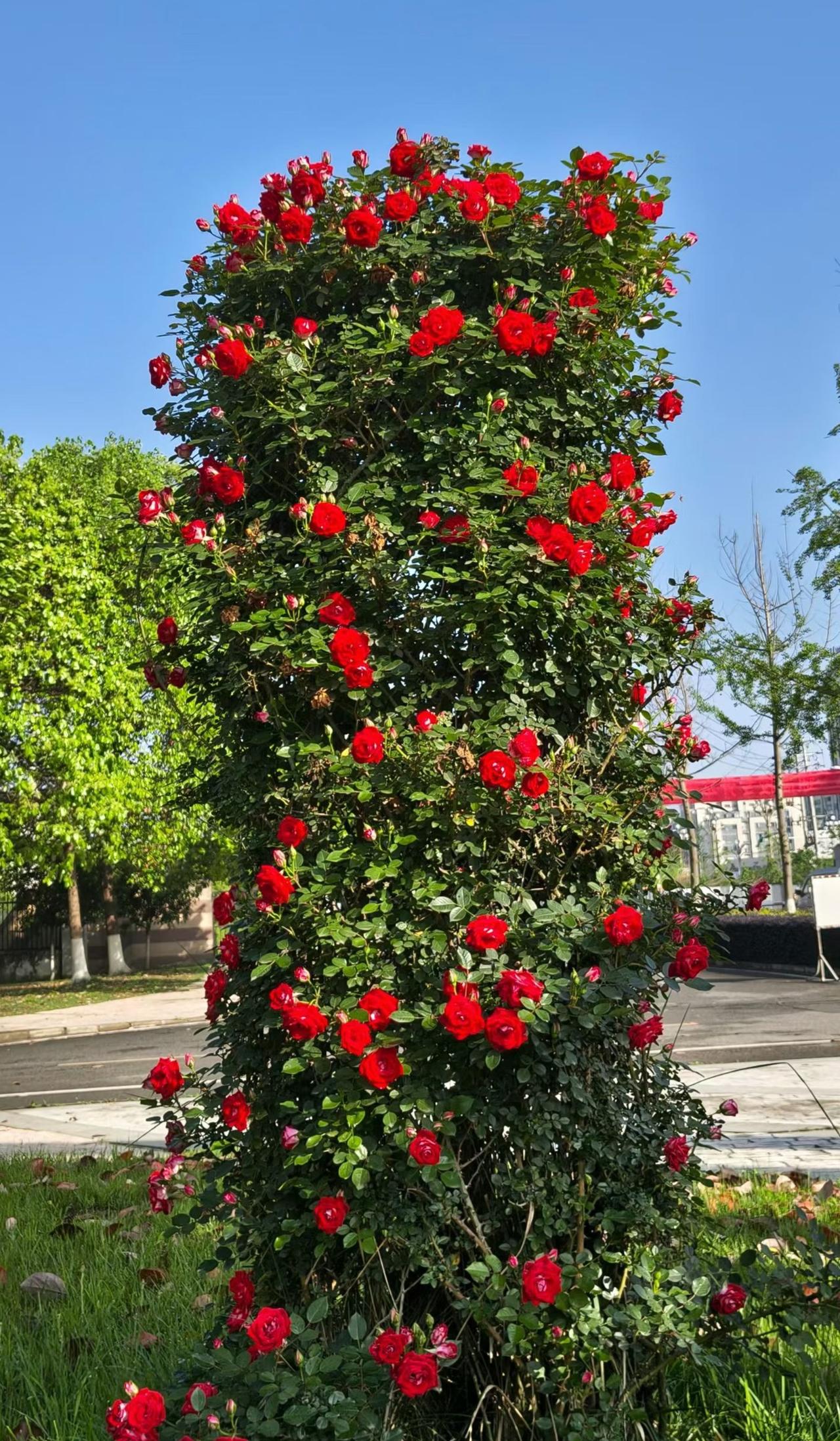 分享一下你随手拍下的照片