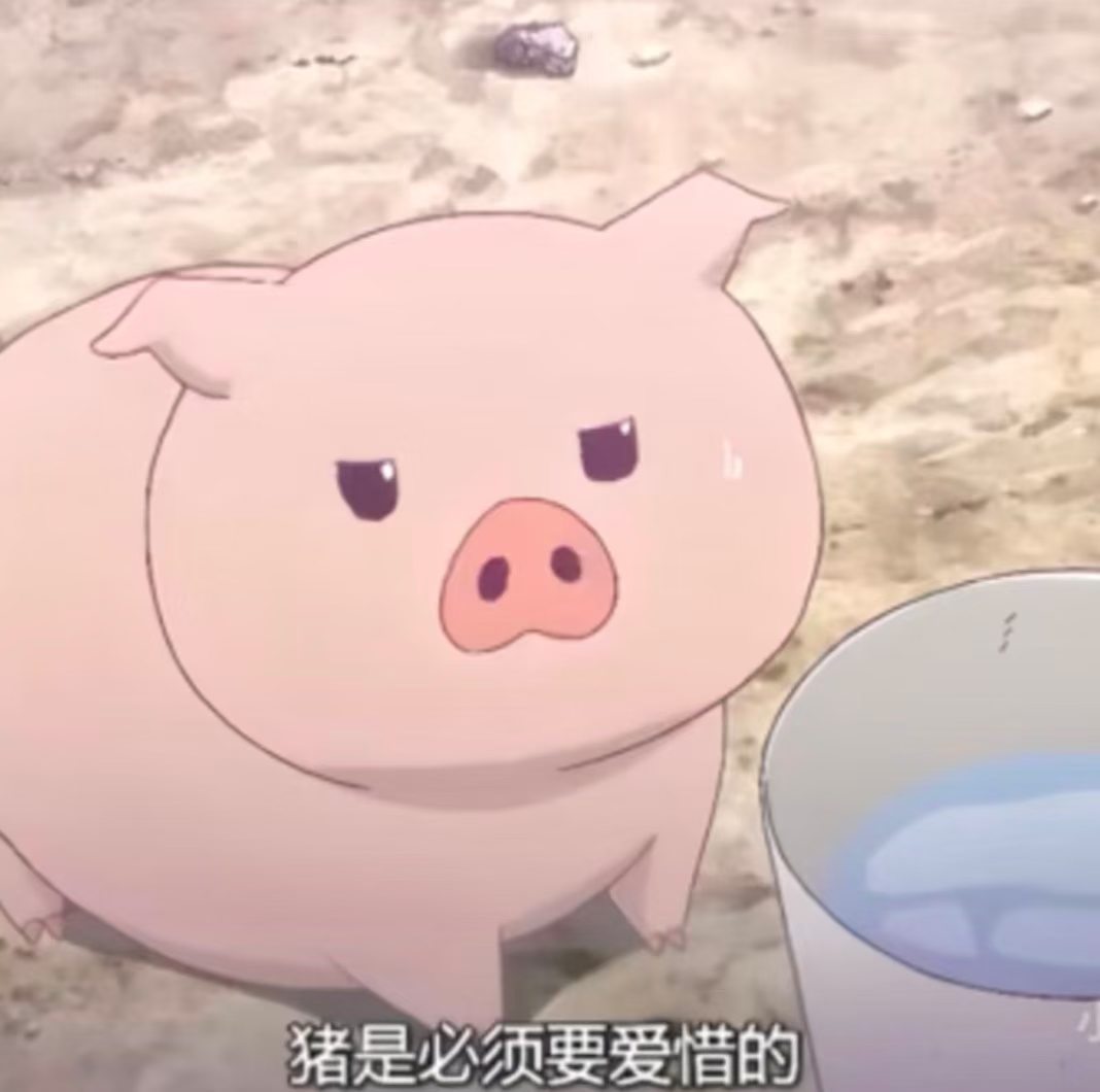 我现在爱上一个人就喜欢猪塑ta  我的猪，是一只猪。很可爱，不做作，不聪明，不闹