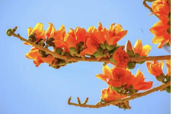 【与其被琐事扰得焦虑、烦忧、气恼、悲愁，不如开阔眼界、修养身心，少管闲事，心中才