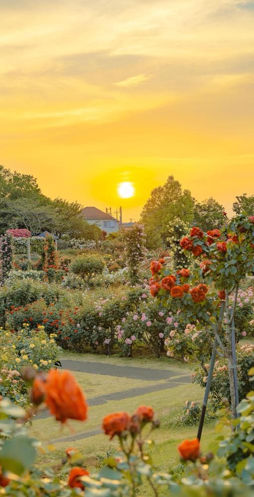 冬天来了，要想少生病少遭罪，我们要做好3件事：

头一件，洗澡真得“省着点”。别