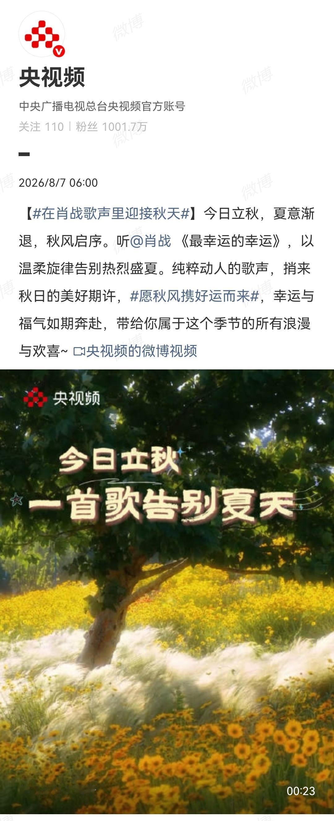 8月7日，央视报道肖战[机智]