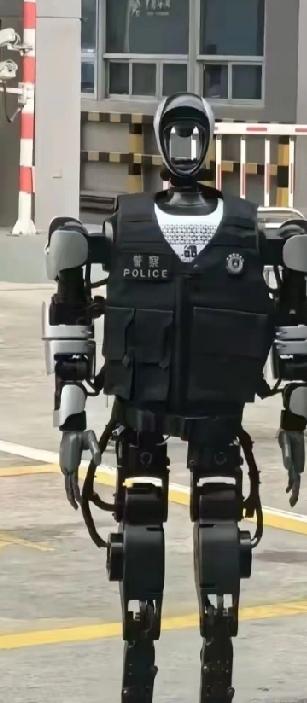 中印边境机器人站岗：
技术赋能下的
边境防御新维度
 
中印边境解放军部署机器人