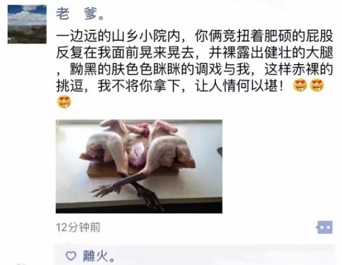 网友老爸去山里游玩吃只鸡，差点写段小h文
