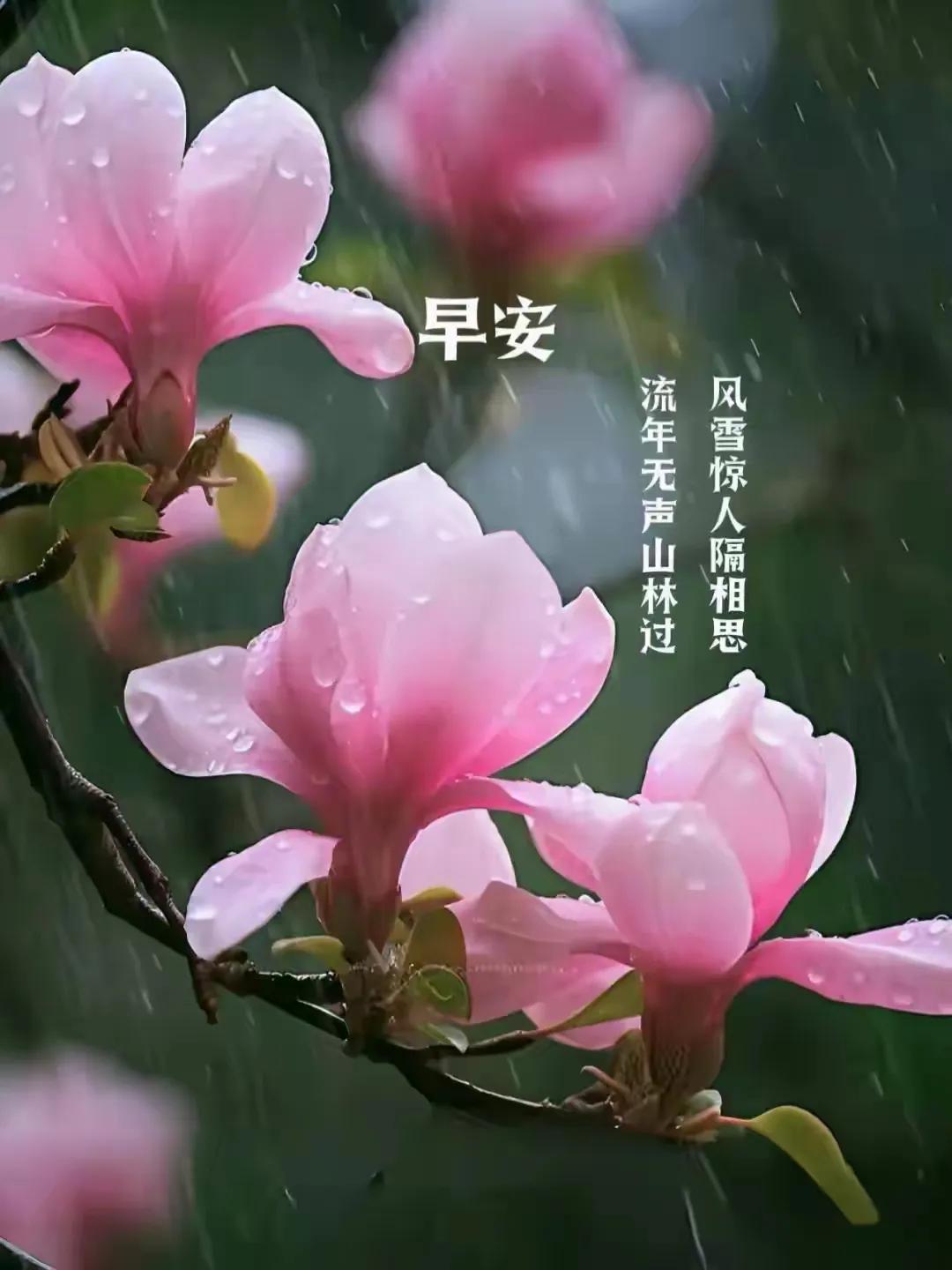 有你的影子在，你就不孤单。。。
影子的忠诚对我们有何启示

对个人而言，最为忠诚