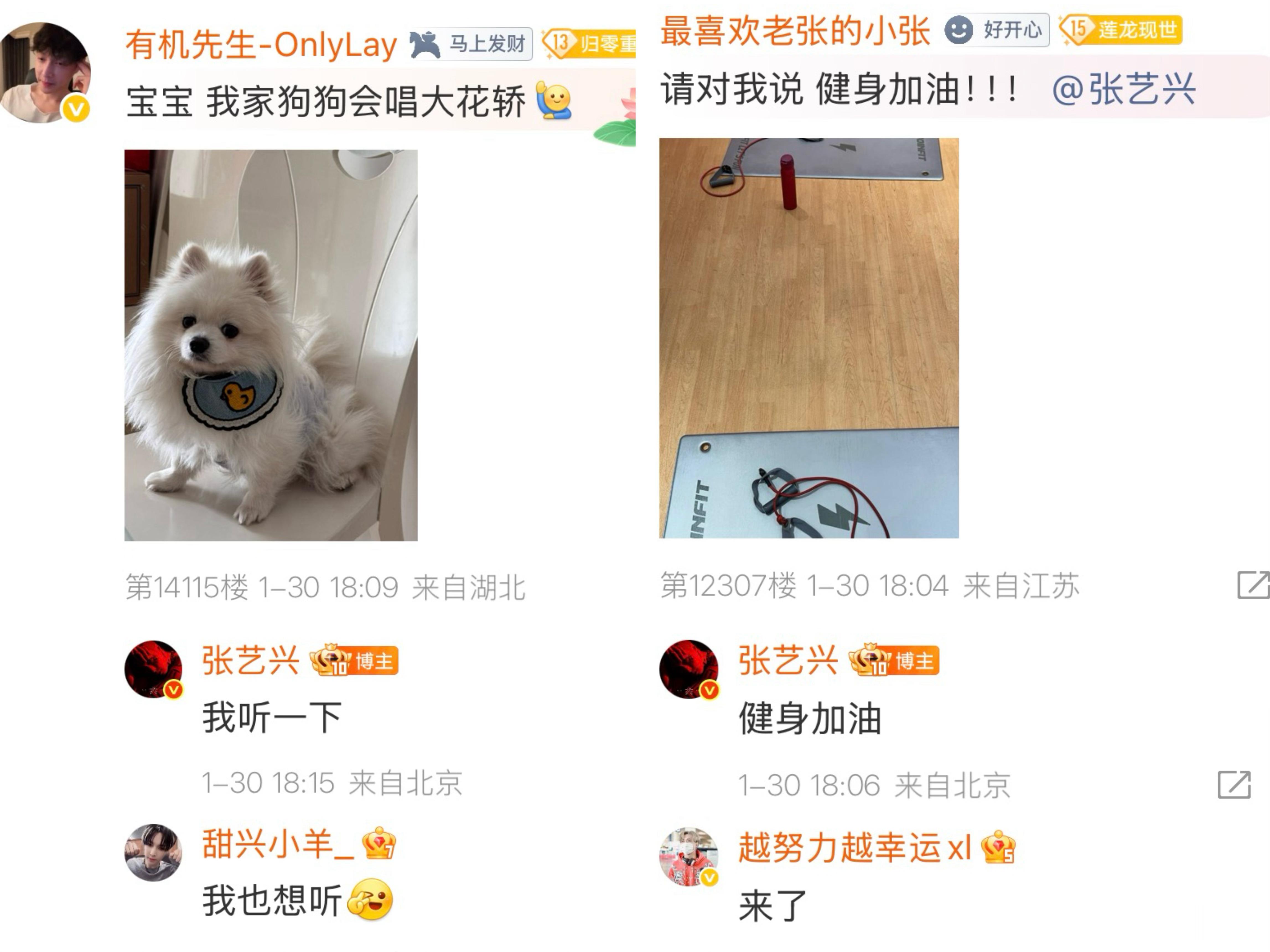 张艺兴空降超话和粉丝聊天，本来想偷偷看看粉丝在超话里干啥被发现了！然后疯狂翻牌，