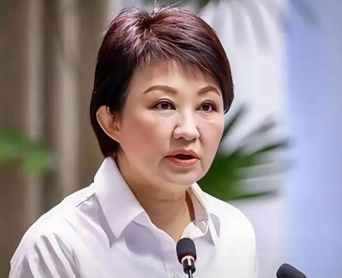 台中市市长卢秀燕在被记者追问“日本与菲律宾擅自将台湾以东海域划入经济区”相关问题