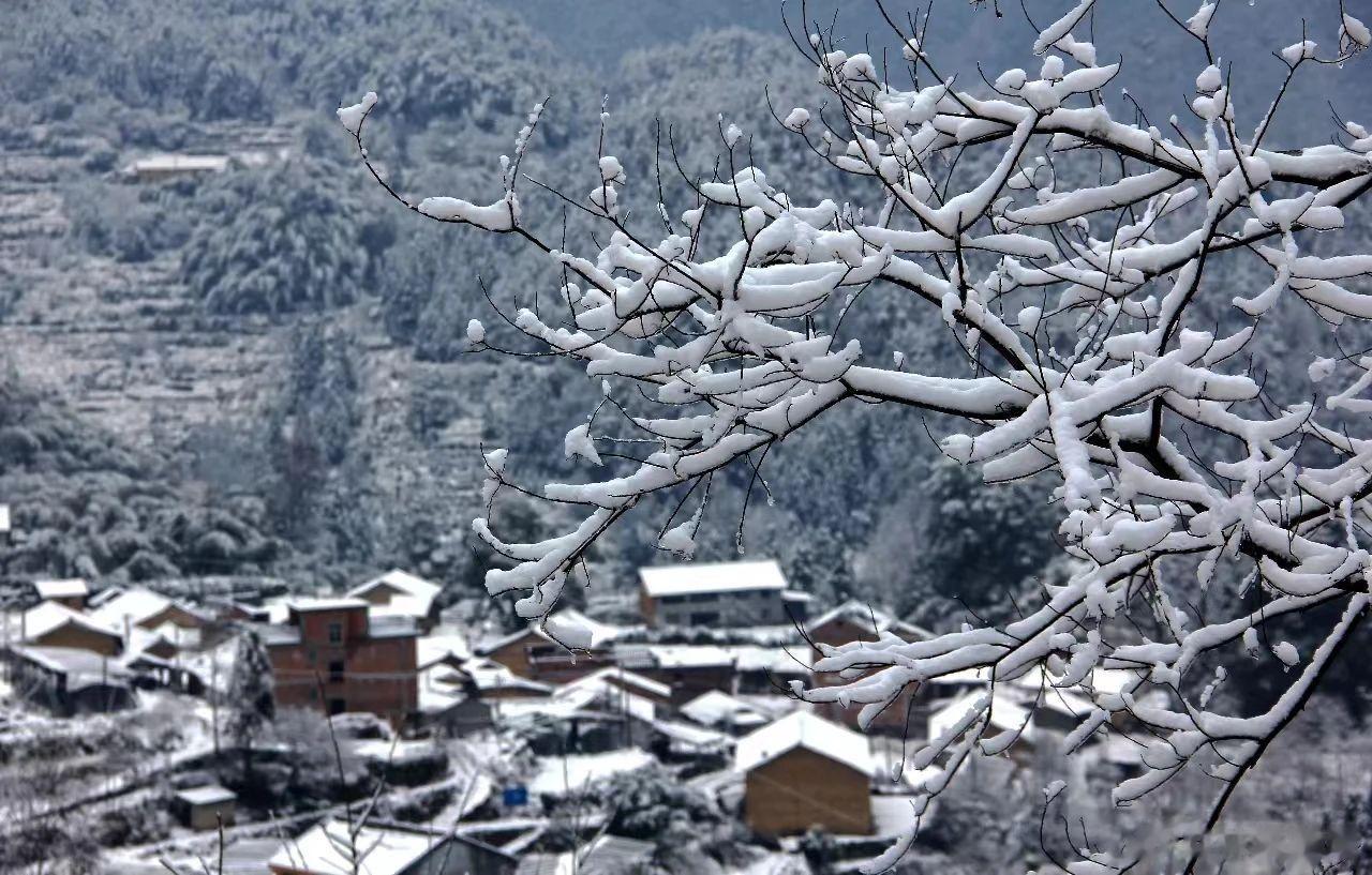【期待梯田下雪】冬梯田，是一幅轮廓分明、庄严冷峻的黑白木刻。#云和梯田# ​​​