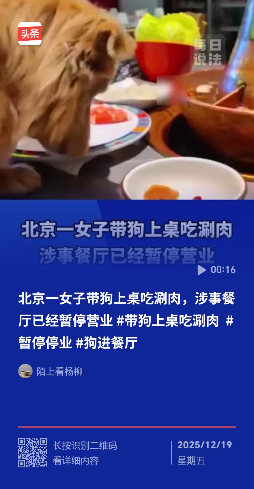 北京一火锅店因宠物上桌停业 涉事食客被追责
 
12月16日晚，北京石榴园北里一