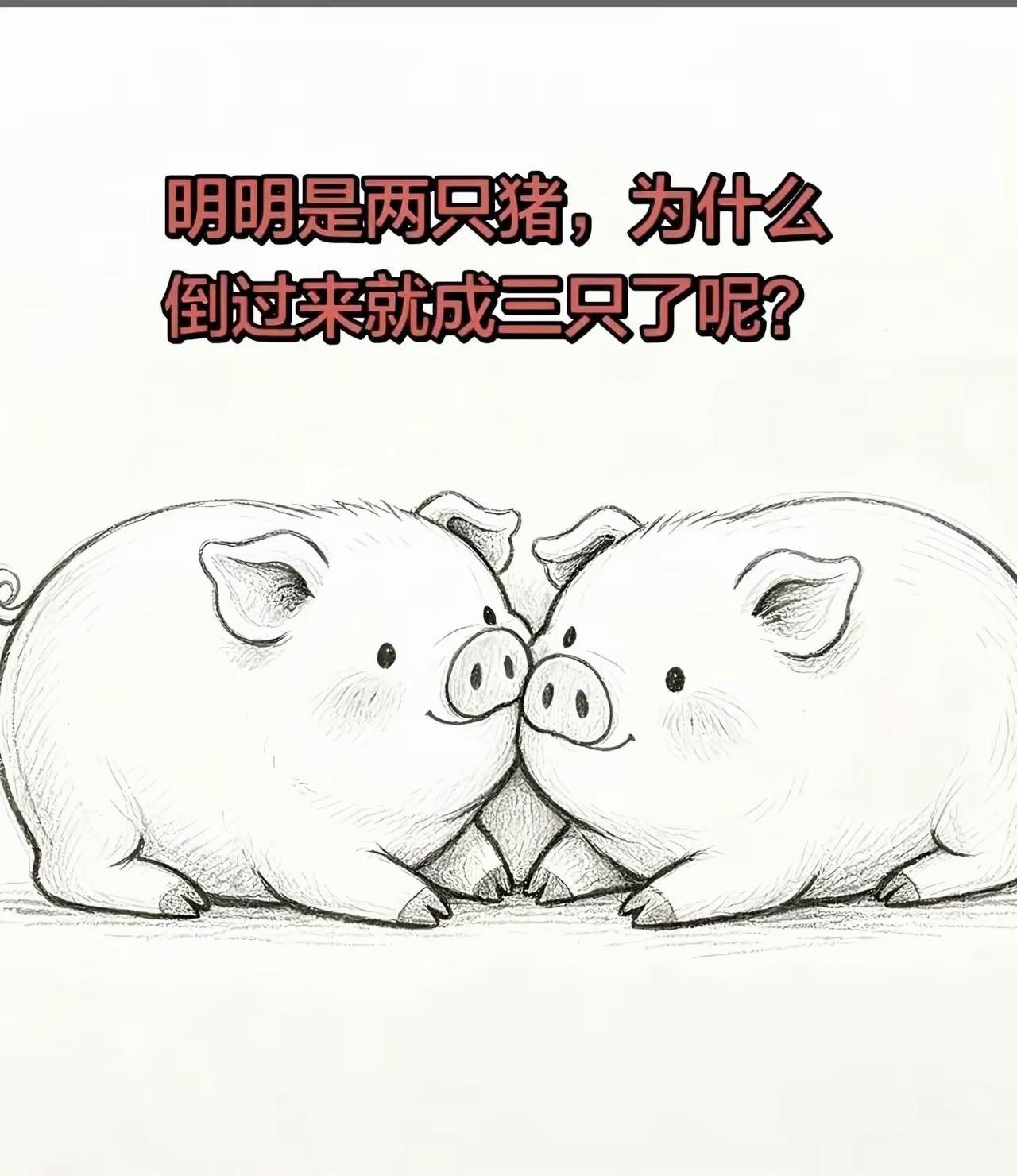 倒过来看，两只猪居然变成三只！

趣味测试 脑洞图片 眼力挑战
​