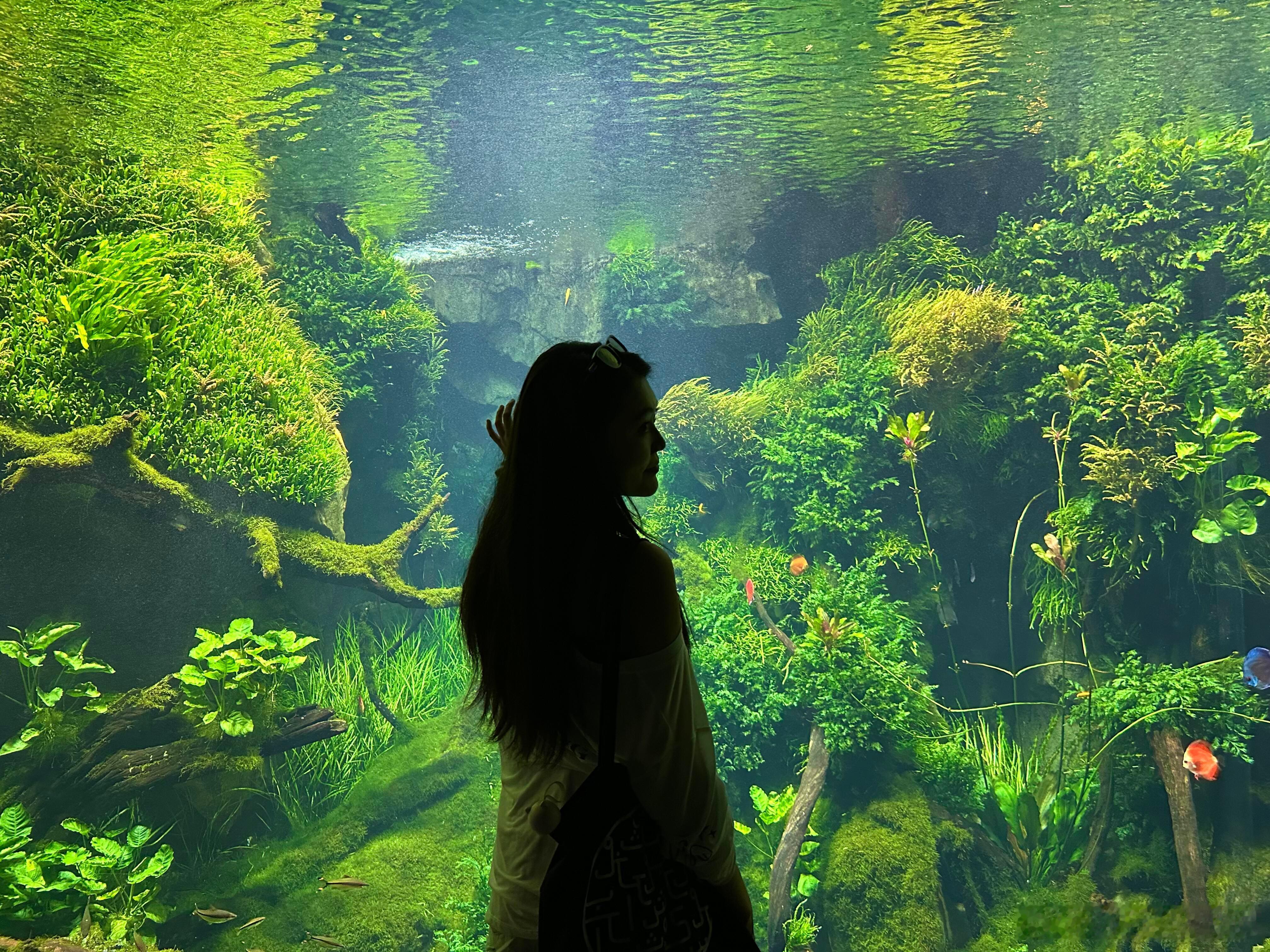 上海人有自己的避暑高招治愈所有人的森系，上海又闷又热还下雨，躲进世博这个室内大温