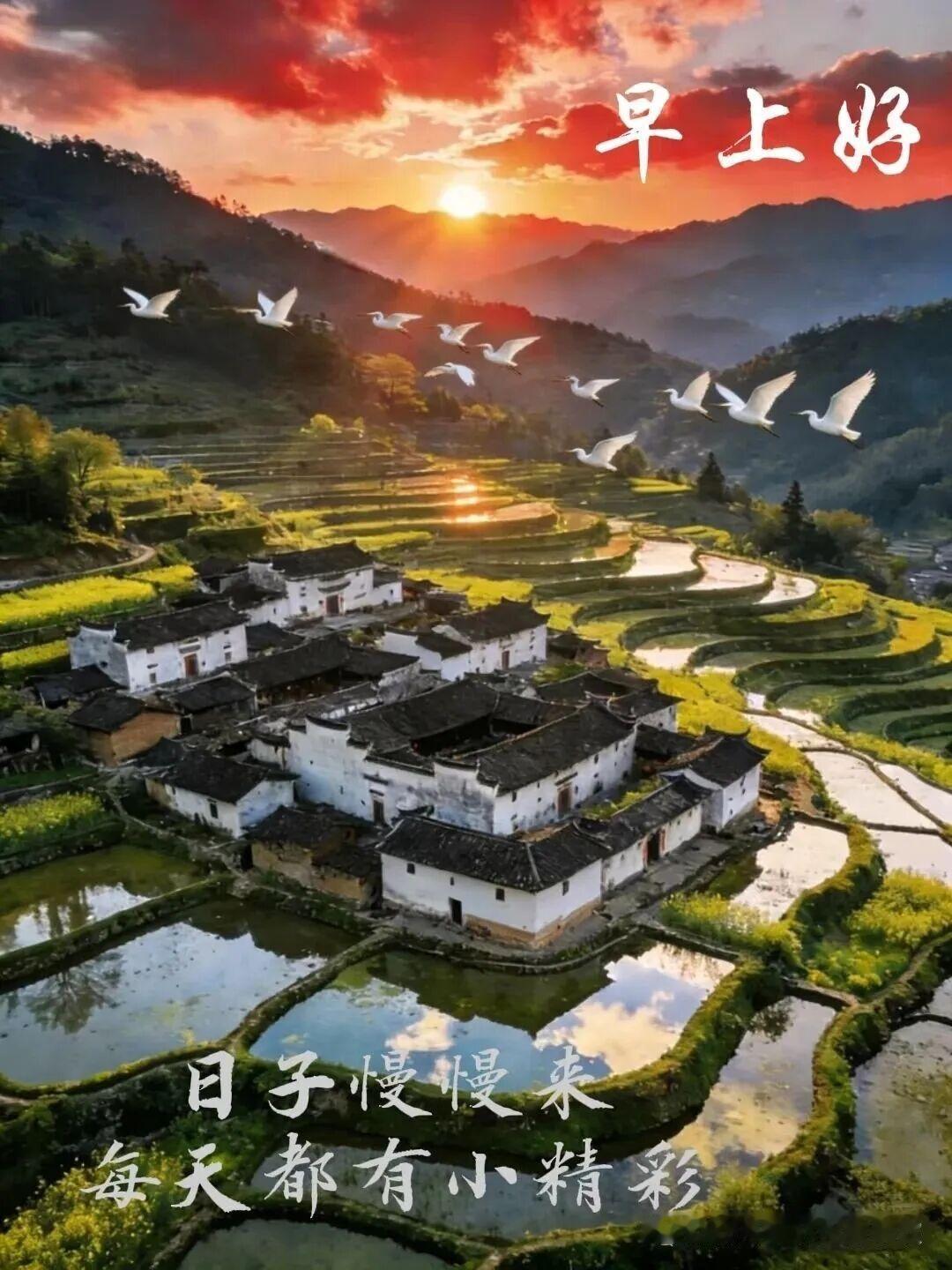 早起迎接吉祥，平安顺利保身边  身体健康，家庭和睦，人和事顺，万事如意  每一天