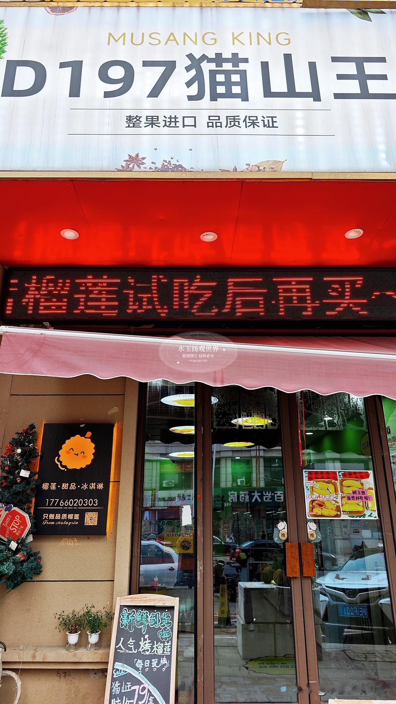 在泰州寻味，总有些小店藏着不张扬的惊喜，D197猫小榴便是如此。没有花哨的门头，
