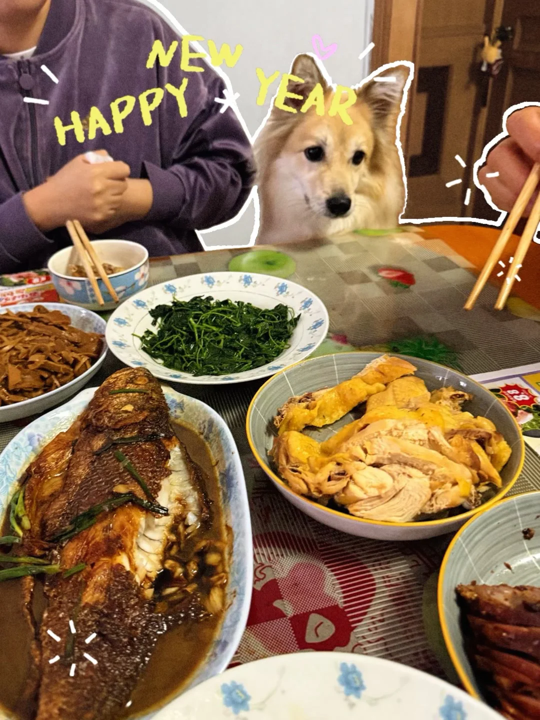 小狗狗的视线就是年夜饭的焦点