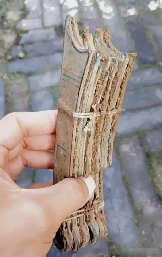 在后院菜地里翻出来的。我是不是要发了？  