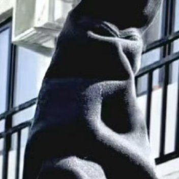 阳光信用阳光信用 每日一善 熊猫守护者 养权重❗❗❗尊敬的先生我希望在你的Fen