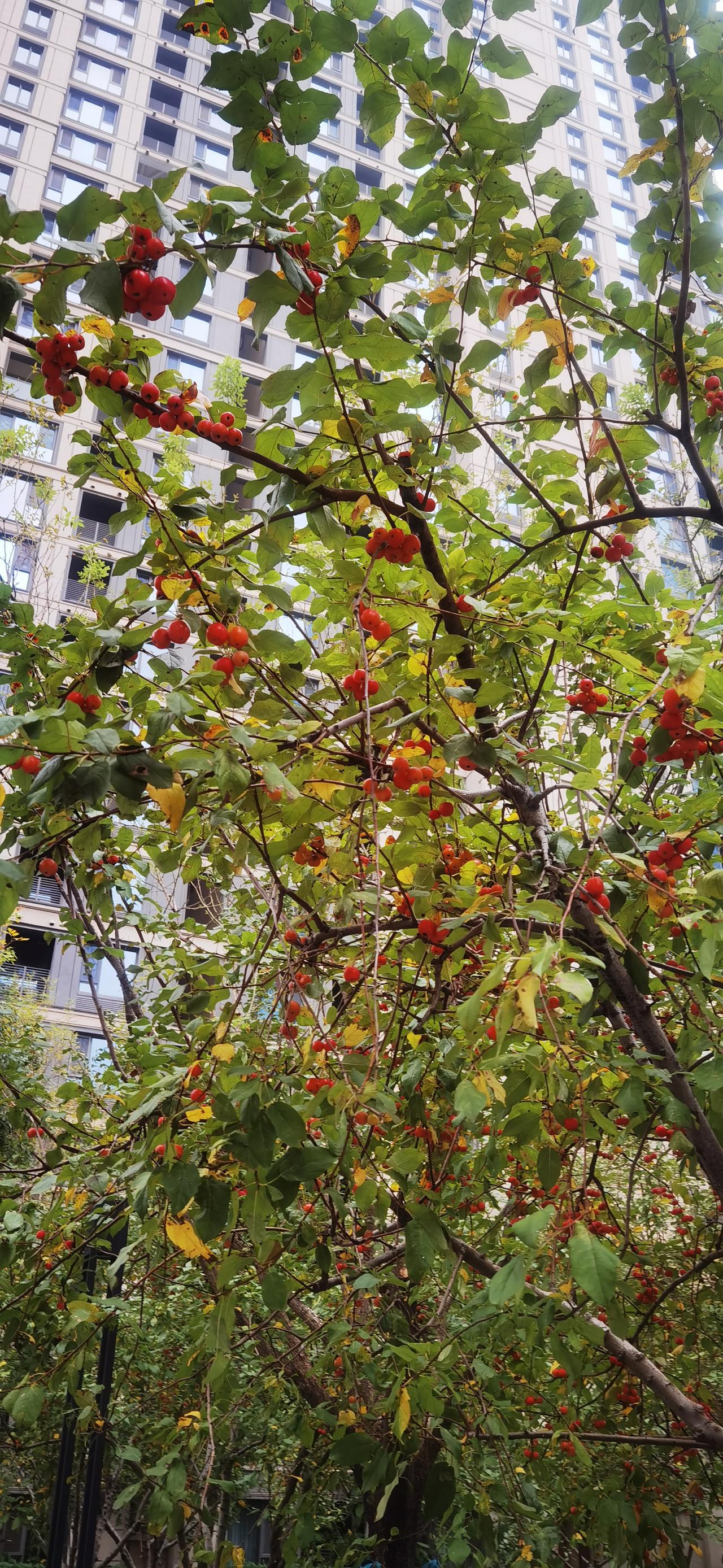 无题

世上没有什么足够的突然，茗茗中都是必然，都是因果，种什么因，结什么果，每