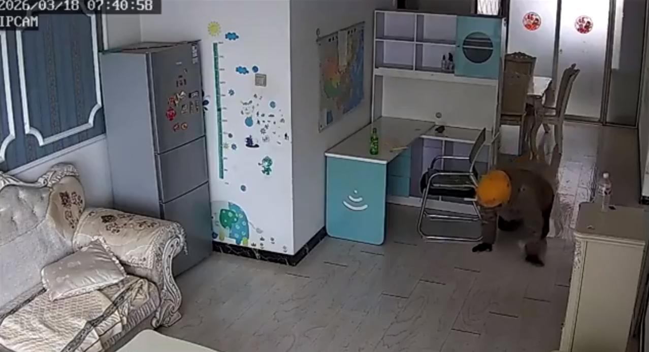 3月17日，江苏一女子下单跑腿让师傅自己进门取件，看到监控中没想到看到师傅"爬"