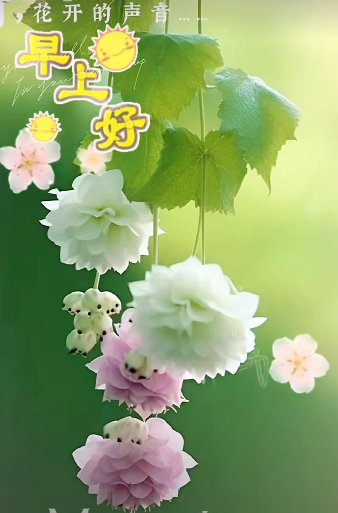 靜靜等待中的清晨，
默默守望天下平安，
深深祈禱我們都好，
人人都願吉祥相伴，