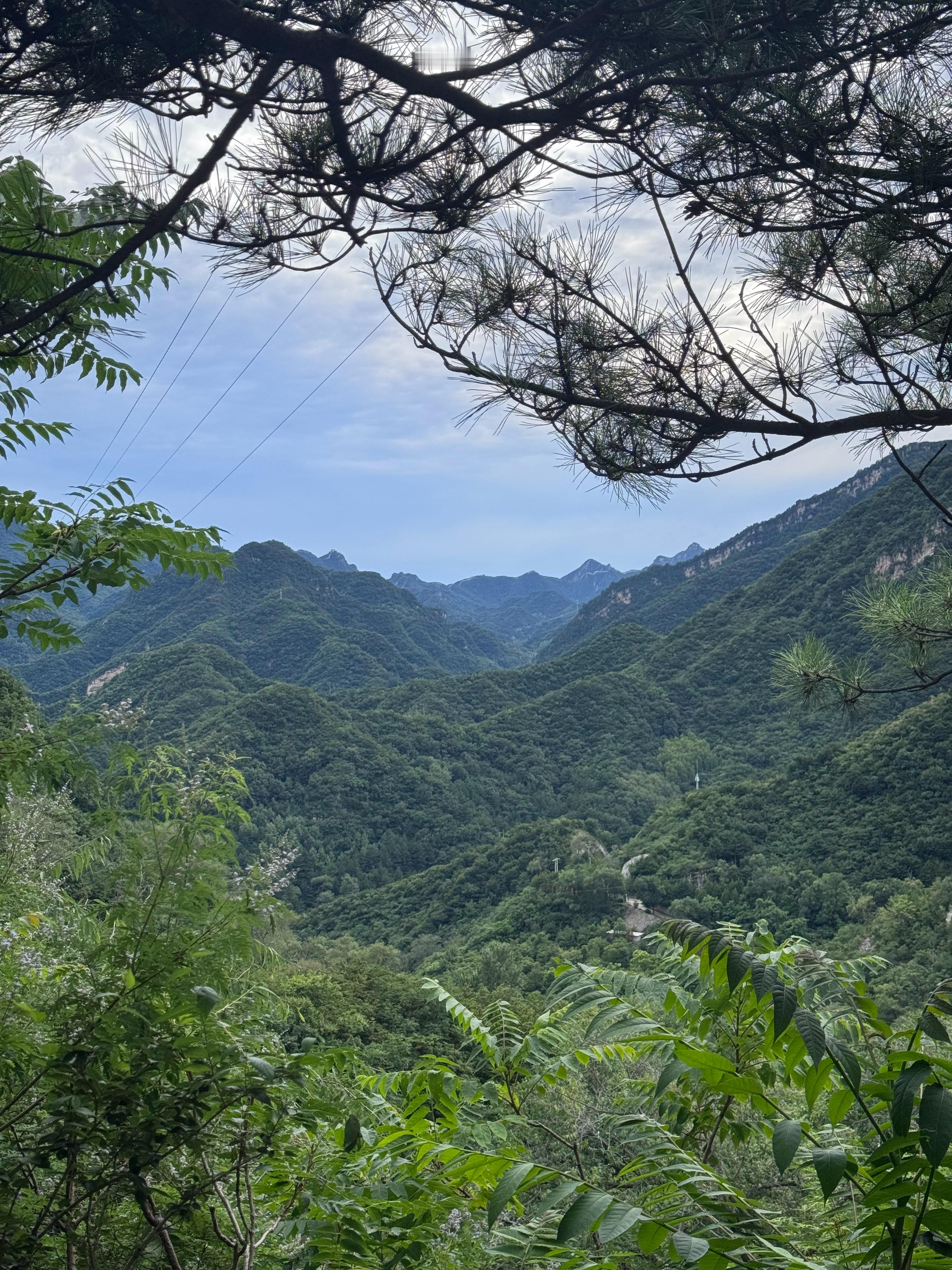 朋友圈和微博的差别belike之前发朋友圈比较频繁发现身边好多朋友都给我拉黑了发