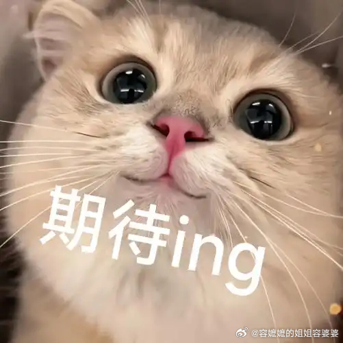 郭艾伦被诈骗近千万投资入股和诈骗之间是泾渭分明的，投资入股想转换成诈骗很难。很多