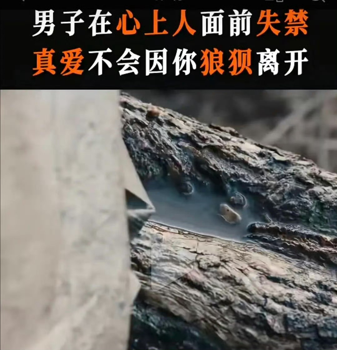 #慕容璟和中蛇毒失禁##失禁的水洼#慕容璟和失禁也被拍出来了… 还有水洼近景[笑