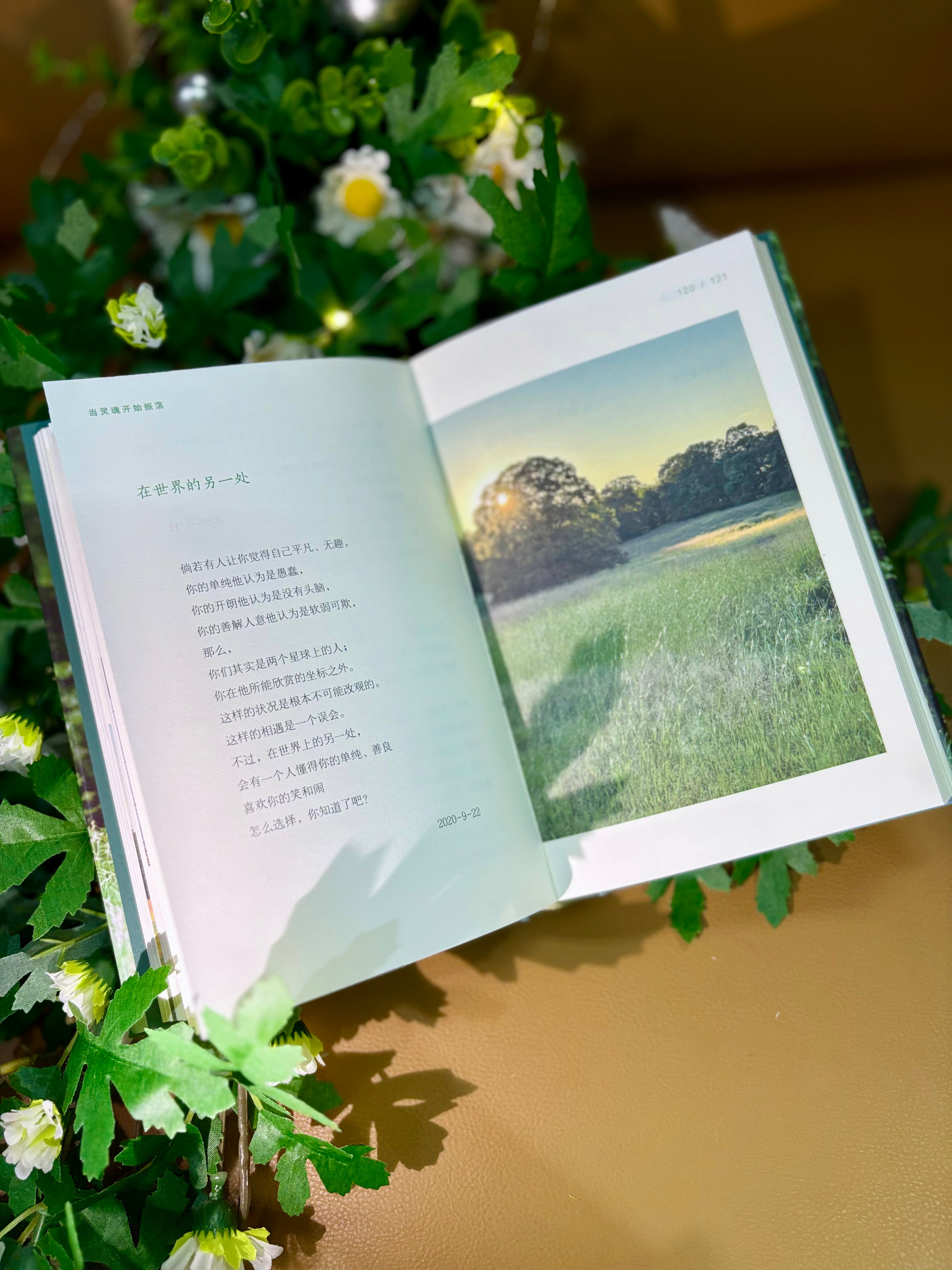 《擅自温柔》 是作家郭红继《长岛小记》 之后出版的又一部生活随笔集，中年女性的人