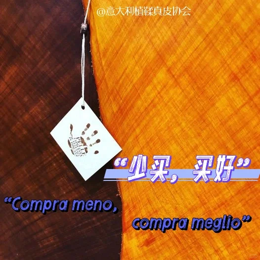 “少买，买好”｜意大利植鞣真皮协会