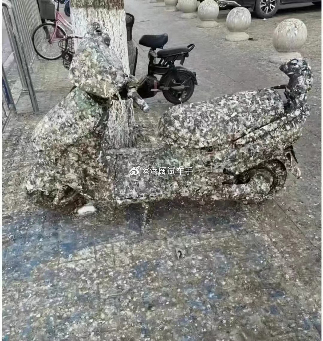 猜车啦！！！这是经历了什么？？？ 