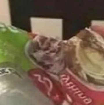 终会言和的争吵，终会结束的噩梦；你有七星瓢虫和鸟儿，还有小兔子，你有鸟巢和番红花