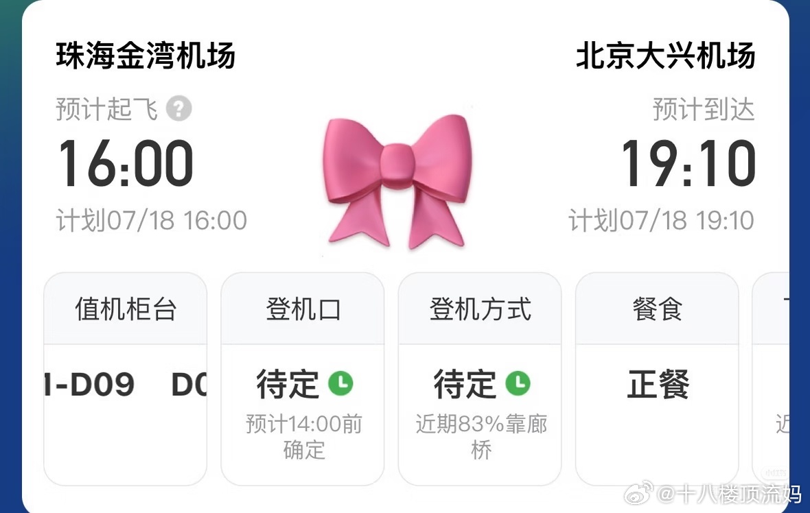小肆肆回来的🛩️都定好了