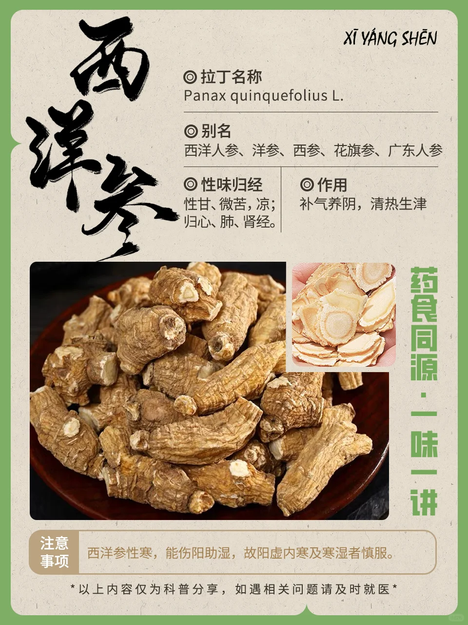 药食同源 | 夏季服用「西洋参」提神抗暑