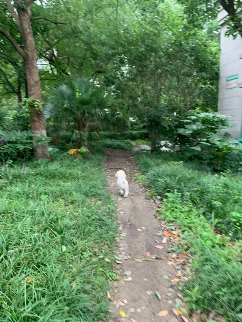 台风天完成kpi 