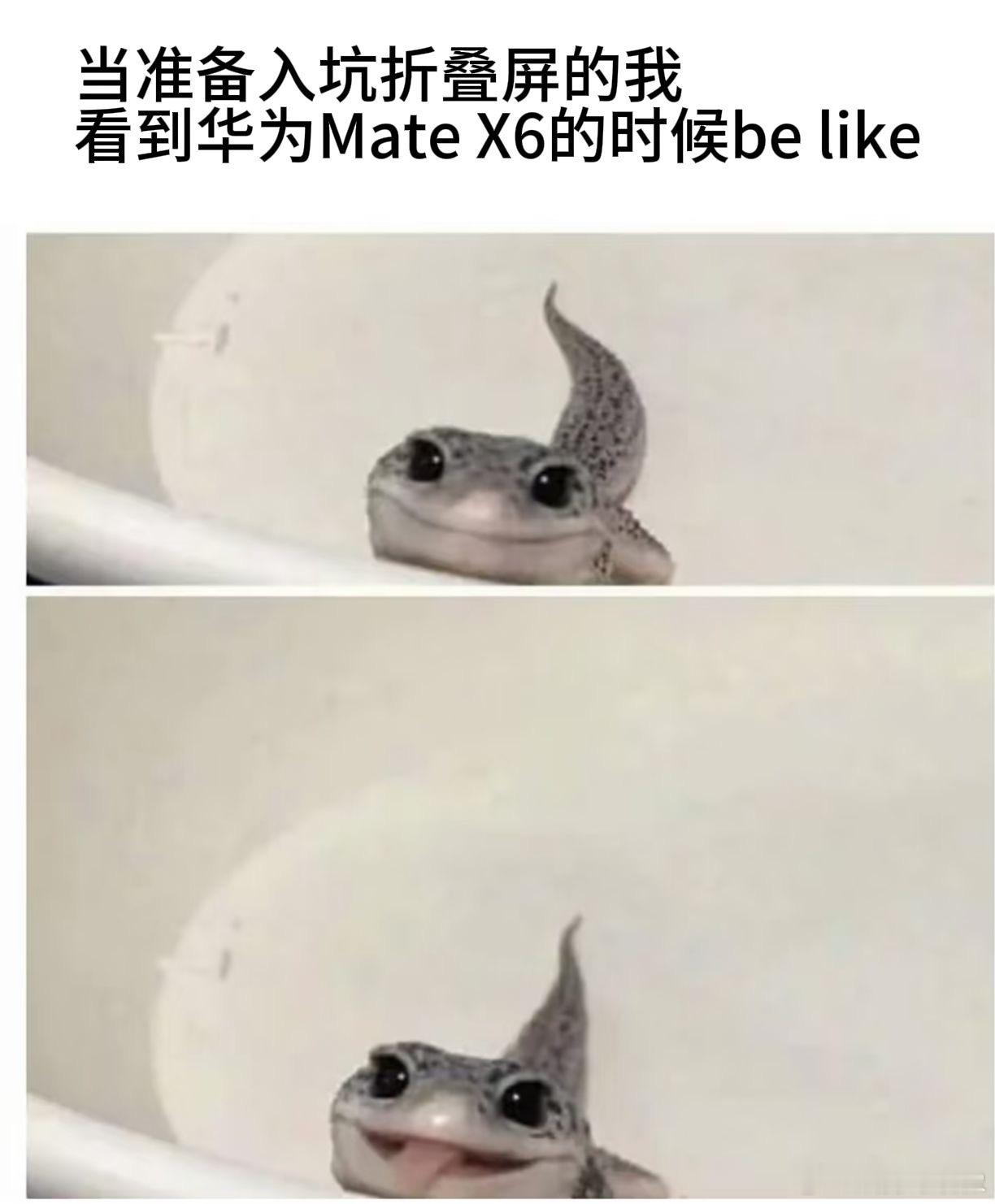 华为放心飞，花粉猛猛追！感觉华为在折叠屏上一直在有效创新，满足了用户对于屏大需求