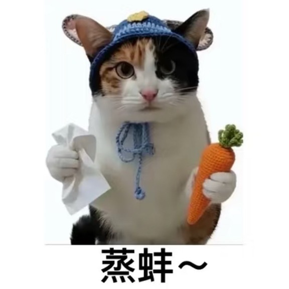 我还有好几张票的视频没剪 刚才随手翻了翻 我对他完全像跟小孩子说话“真棒呀～”“