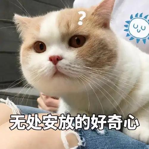 看到这条小文:同学相见
男:老同学，现在结婚了吗？ 
女：还没有，咋啦？
男：要