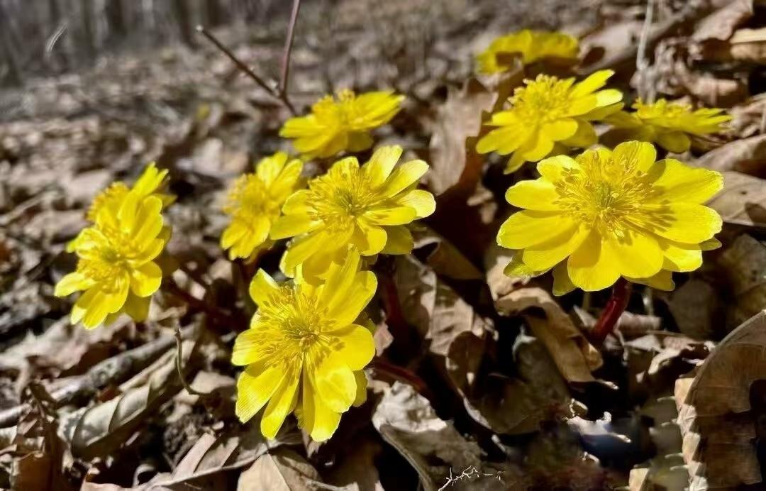 


冰箱里的冻肉，超过这个时间就别吃了，出现这几种情况要尽快扔掉！