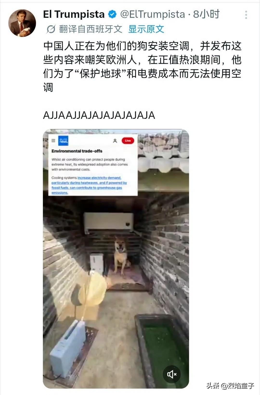 真抱歉，怕是会让欧洲人更难过了，
因为在中国，不仅狗能吹空调，猪也能。
欧洲人真