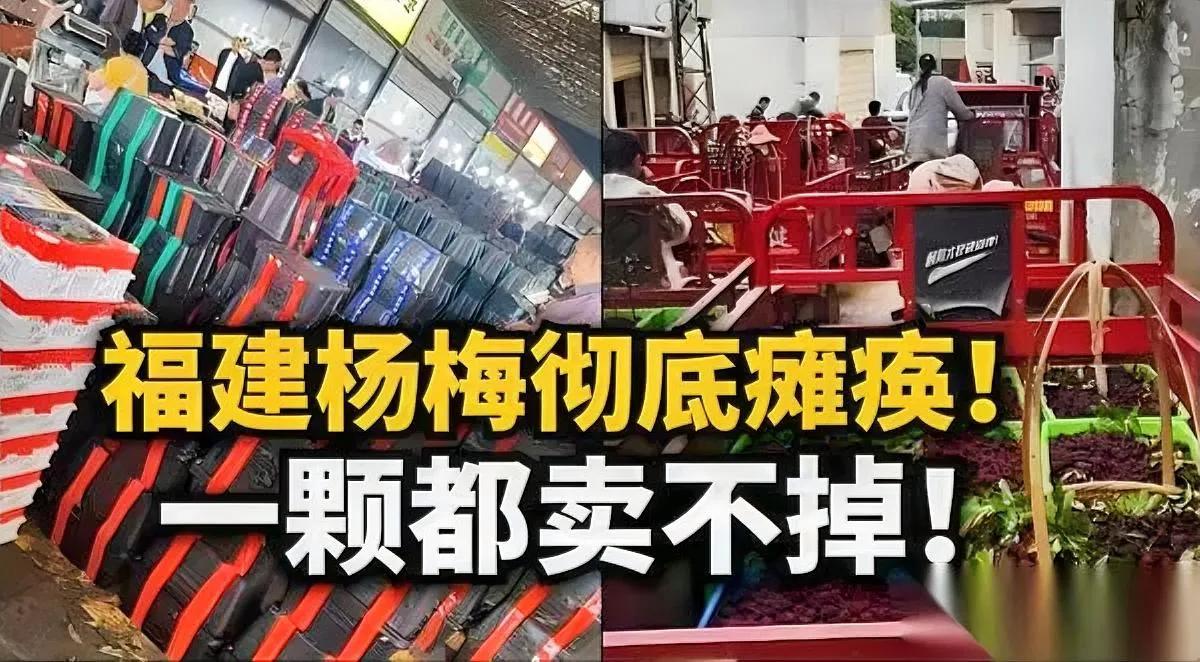 这种泡药果

你敢吃吗？

我真没想到漳州地理标志杨梅，能玩出这么恶心的双标操作