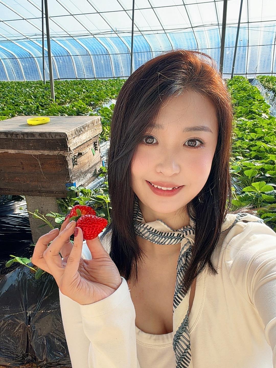 我家的草莓🍓超甜 我建议你尝尝