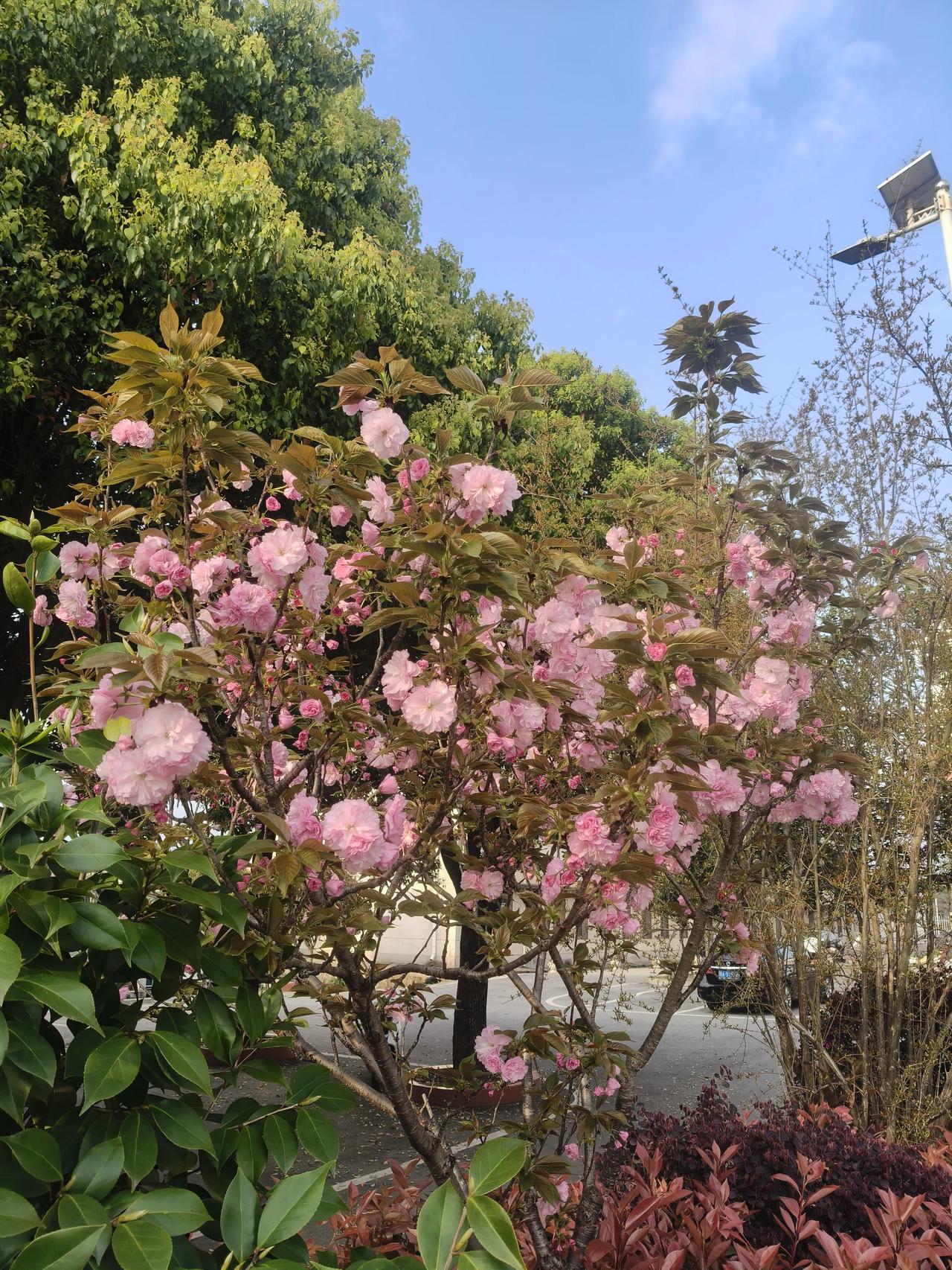 幸福，源于内心知足、健康安稳与被人爱着。