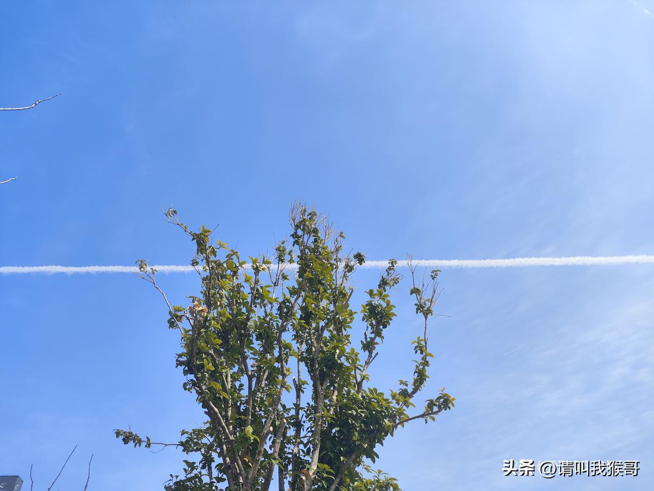 飞机没拍到，拍到了飞机尾气……