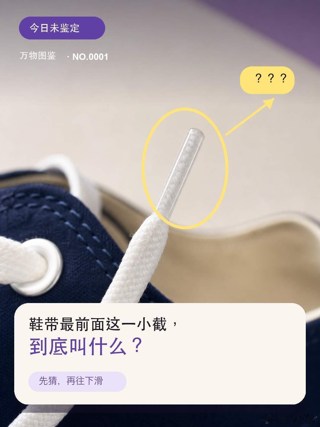 这些叫不出来的东西真有名字这些在我们这里有一个统称！就叫它：那个东西上面的朵朵子