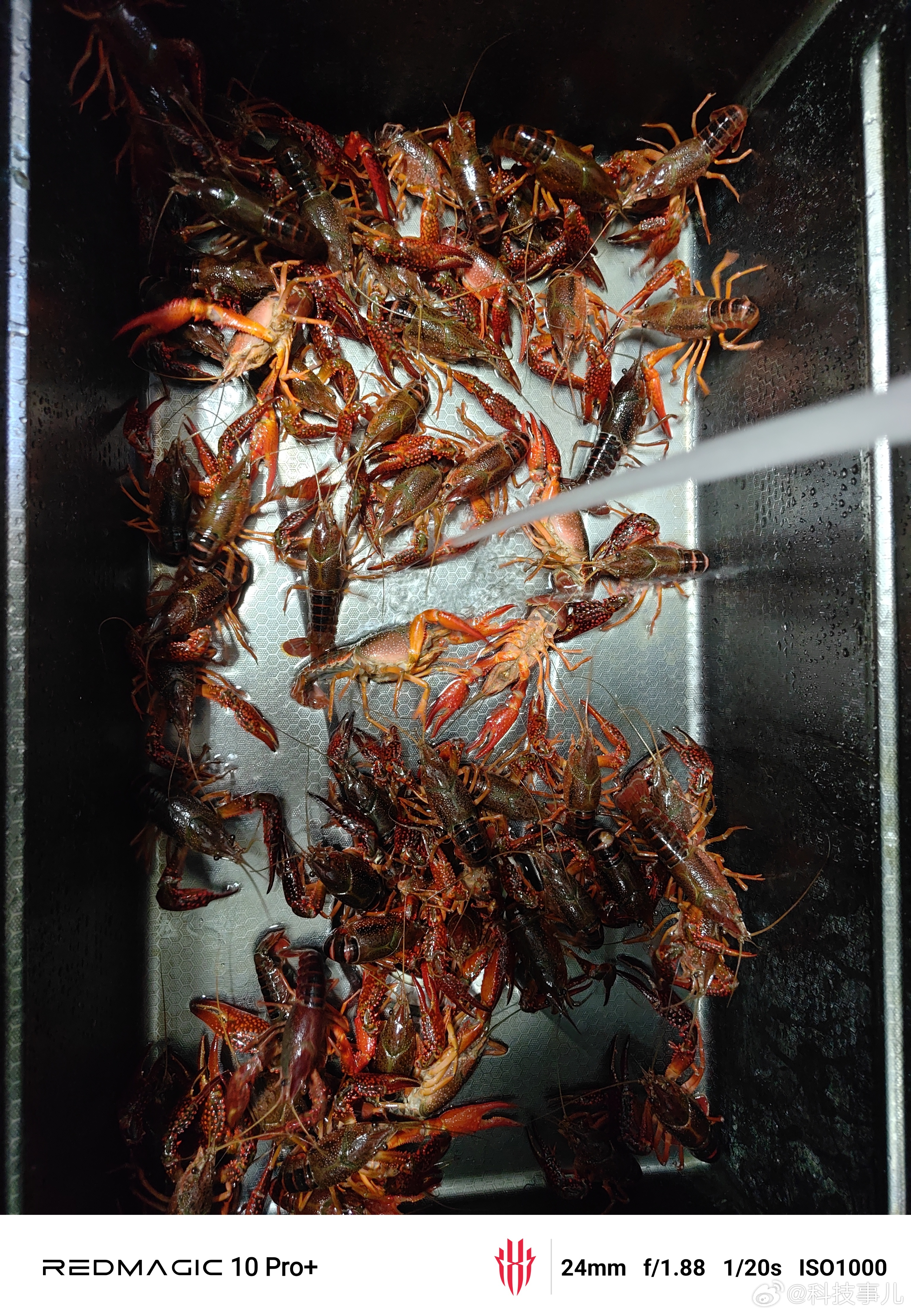 美食博主上线，2025年的第一顿小龙虾，一会就下锅了，做麻辣和蒜蓉两种口味[偷笑