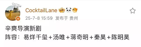 辛爽导演的这是什么剧，什么题材啊，预算这么高，这演员阵容，不像拍古装的。 ​​​