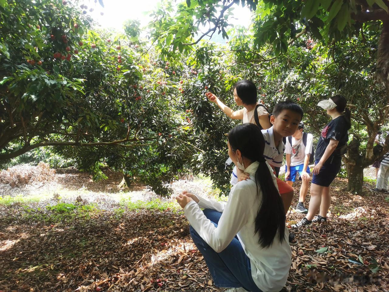 今早没什么可说的，借用刀郎的一句歌词：那马户不知道他是一头驴，那又鸟不知他是一只