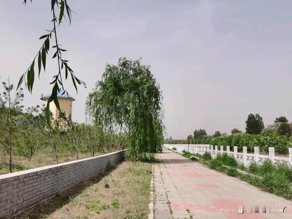 这是几秒前才拍摄的一张照片。
主题内容：李阳河岸的风景。汉白玉栏杆一望无际；岸边